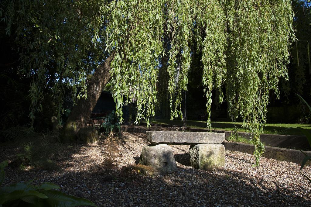 Foxhills Of Shanklin Eksteriør bilde